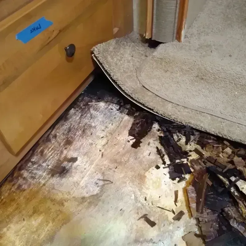 Wood Floor Water Damage in Arbuckle, CA